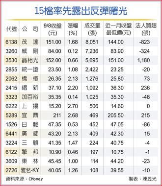 15檔率先露出反彈曙光