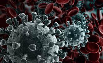 以色列發現結合了新冠肺炎和流感的最新變種病毒「Flurona」。（達志影像／shutterstock）