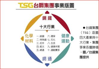 台鋼集團（TSG）涵蓋四大產業與十大行業，集團事業各擅勝場。圖／台鋼集團提供