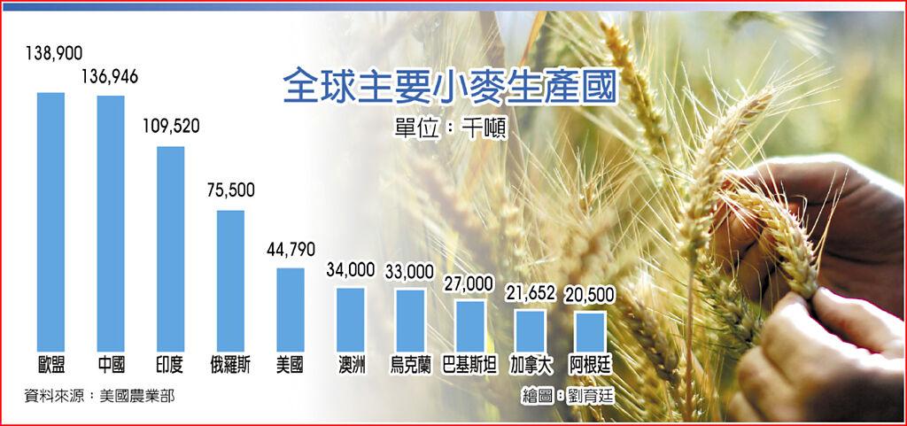 全球主要小麥生產國