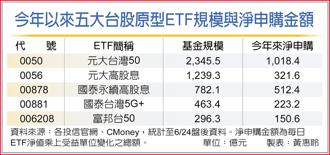 今年以來五大台股原型ETF規模與淨申購金額