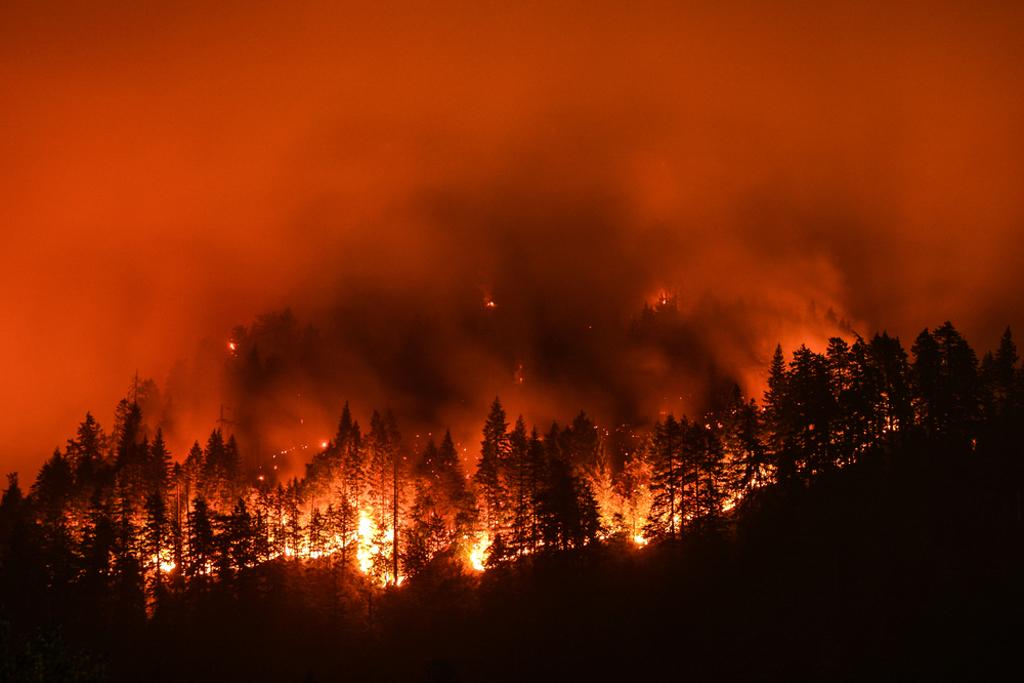 與2001年相比，大火燒掉的面積估計逐年增加300萬公頃，相當於比利時的面積。(示意圖／shutterstock)