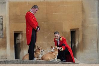 工作人員帶著柯基犬在溫莎城堡等待伊麗莎白二世女王的靈柩。（路透社）