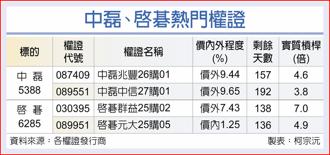 中磊、啟碁熱門權證