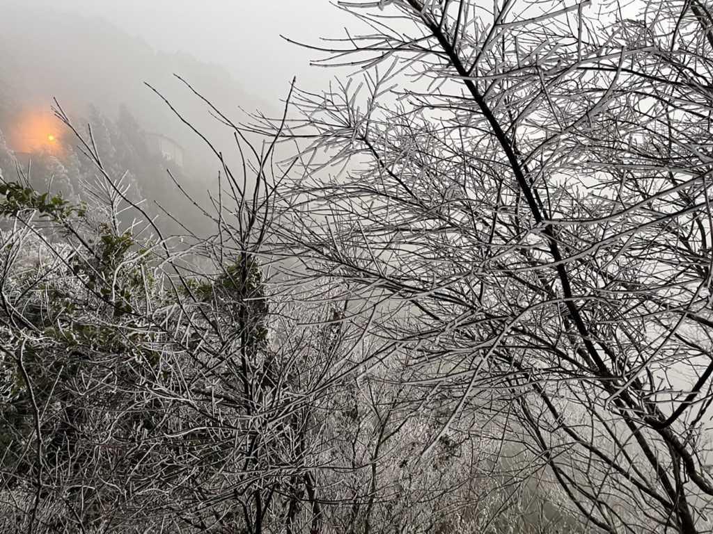 新竹也下雪，夢幻景色曝光。（圖／翻攝自綠木頭咖啡館臉書）