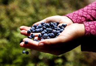 美國非營利機構「環境工作團」（EWG）公布「2023年12種骯髒蔬果」名單，抗氧化「超級食物」藍莓也上榜。