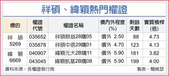 祥碩、緯穎熱門權證