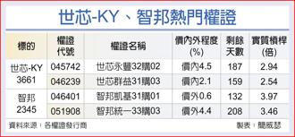 世芯-KY、智邦熱門權證