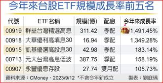 今年來台股ETF規模成長率前五名