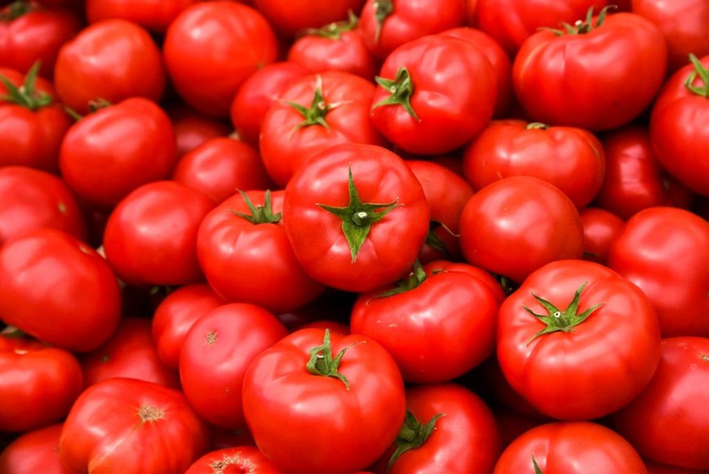 專家表示，番茄富含茄紅素，與降低罹患前列腺癌的風險有關，同時專家也建議，烹煮番茄，能讓人體更易於吸收茄紅素。（資料照／shutterstock）