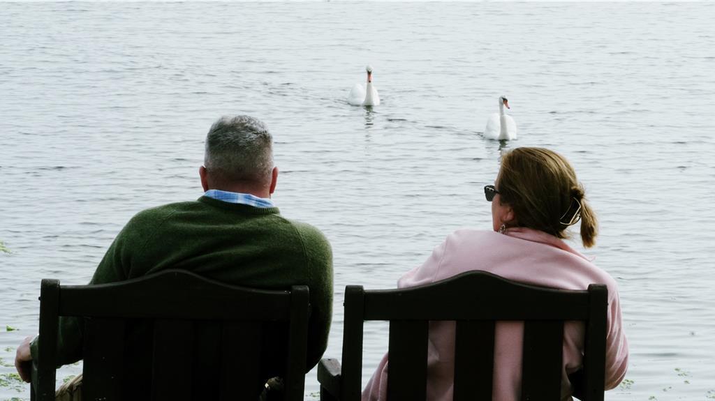 一對天鵝緩緩地從海的遠方游來，與閒坐在海邊的老夫婦相映成趣。（王爵暐攝）