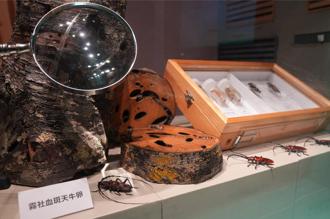 特展 - 搜尋 - 旺得富理財網